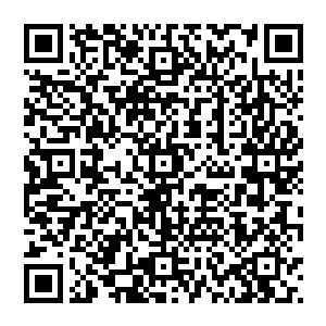 但却远远不会像修罗道那样人人喊打的……毕竟地下世界中就有一个专修黑暗力量的大势力黑暗议会二维码生成