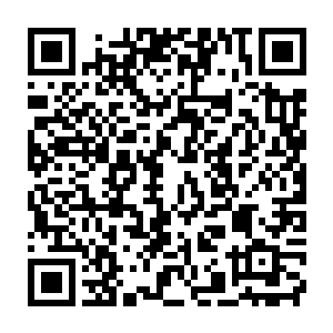 但又发现小木牌上面的纹理和手感又像是经常被人拿在手里的样子二维码生成