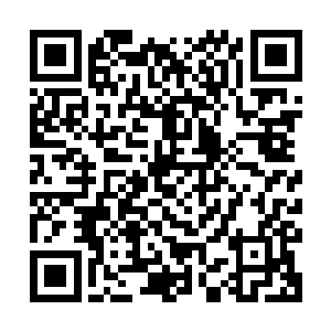 但又对于剧本大纲里90%以上的戏份都由模拟形象完成而顾虑重重二维码生成