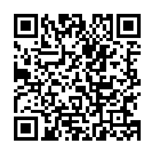 但只是记住某种药草的外形或者记住某种处理药草的方法二维码生成