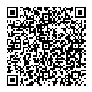 但只有真正懂行的人才真正了解天梯的价值……他是让每一个试炼者都可以借此机会进行磨练和融合二维码生成