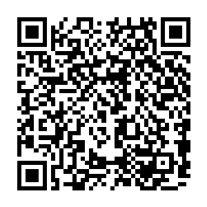 但同时剧烈的枪响和枪口散发出来的璀璨火光却也令这座战堡成为了死城中最受二维码生成