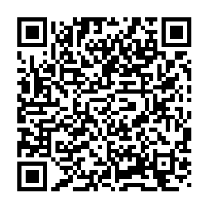 但听到杨晨要去挖其它宗门的弟子到金州去参与金阳灵草的繁殖工作二维码生成