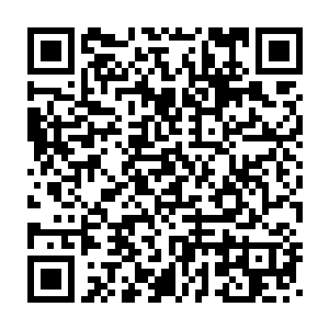 但和红日商会这种白龙群岛上有着赫赫威名的商会相比还是有差距的二维码生成