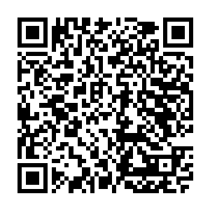 但咱们阵峰的渡劫期峰主必须留守宗内坐镇护宗大阵――说起来这点还蛮惨的二维码生成