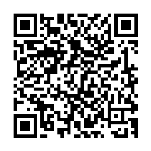 但因为宴维的用心和他时不时投注在自己身上温柔深情的目光二维码生成