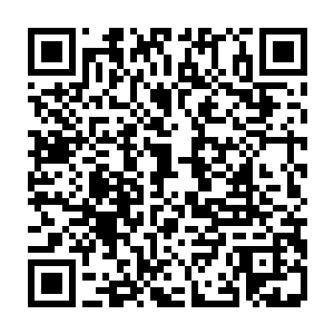 但圣子彼得自信还是可以压得住的……真正让他无力镇压的只有一个阿尔法拉二维码生成