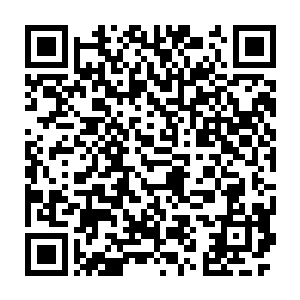 但在他们眼中木头和石头两个人也最多就是街头小丑一流的存在了二维码生成