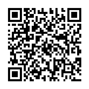 但在他的脸上似乎没有了那种世间一切皆不入目的倨傲二维码生成