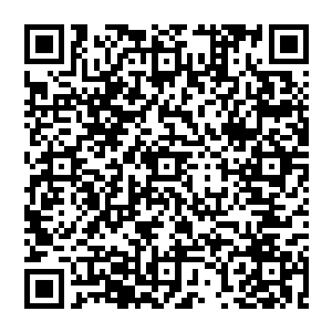 但在后辈眼中　却不是如此　这纵横连当着灵界如此多的大能这么说连横家　这不是故意挑起纷争嘛二维码生成