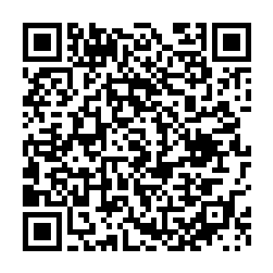 但在战船上的小熊和小宝一听说他们要包这么多人的吃住顿时心疼起来二维码生成
