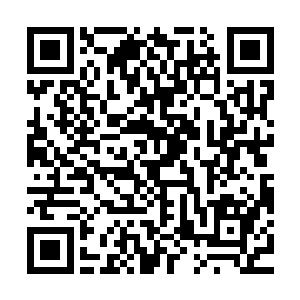 但在短短片刻间竟能激得李彦锋宁愿正面挨上一拳也要将他扔开二维码生成