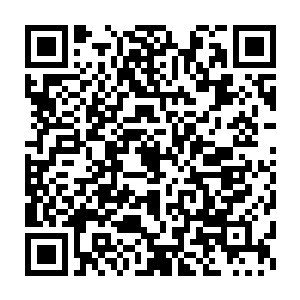 但在离陆地这么近的距离忽然出现这么多的海盗他还是第一次见到二维码生成