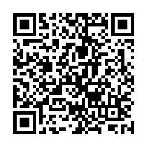 但在这过程中已经有几个佣兵被重机枪打的血肉横飞了二维码生成