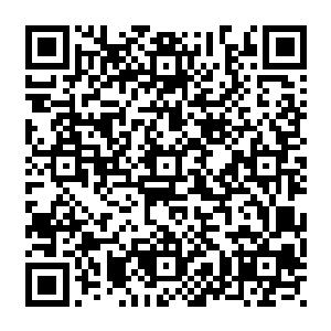 但在这金丹元多如狗 元婴满地走的灵界 他此时的修为 的确是一点也不够看啊二维码生成