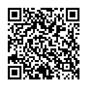 但在释放绝招时会有一定幅度的提升……看来不能大意啊……二维码生成