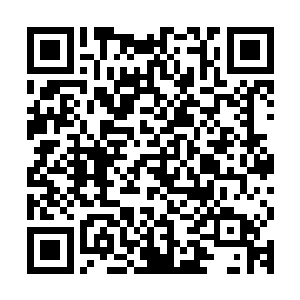 但在黑色箭头的攻击之下连一秒的时间都没支持到就化为了碎片二维码生成