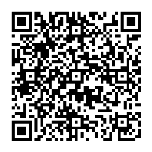 但地底世界本身就存在无数振动波地底城镇的空气循环系统和冷却系统发出的震荡二维码生成