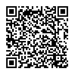 但她那双修长美腿的黄金比例却只怕连凌李二妞也稍要逊色了三分二维码生成