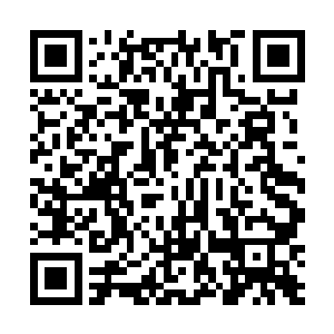 但如今却只在这长方形的巨石之上留下两道浅浅的鞭痕二维码生成