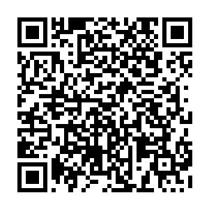 但如果仔细观察的话便是会发现他的嘴角扬起了一个不易察觉的愉悦笑容二维码生成