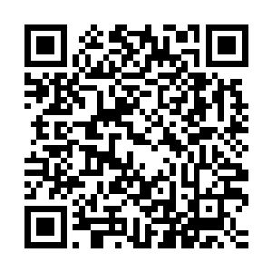 但如果只是第一境界的实力也不可能就这样轻松挡住自己的攻击二维码生成