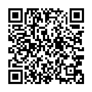 但如果我像是对待一般客户一样对待你们这样的梦想种子二维码生成