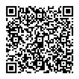 但妮可和亚历克斯两个人却陷入了沉思――雨果在角色雕塑上给予了他们太多灵感二维码生成