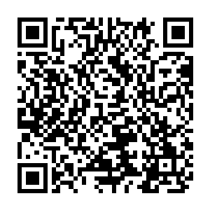 但始终没有任何一位阵法名家能够对正面破解树堡守护大阵做出建设性意见二维码生成