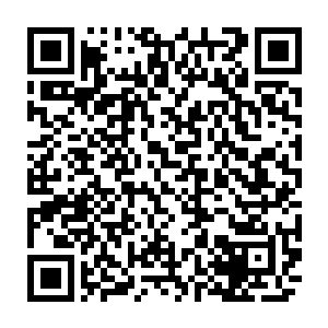 但孙宝琦从法殖民大臣致安南总督的信函中得知孙中山的安南起义等计划后二维码生成