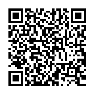 但它绝对是异常可怕的强横凶兽无疑的……因为当它出现的时候二维码生成