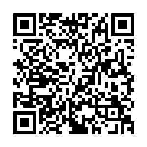 但安琪儿和熊孩子也不敢轻易跟这两个界主修为的大妖进行硬拼二维码生成