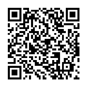 但实际上沼泽在世界生态系统中有它们独特而重要的地位二维码生成