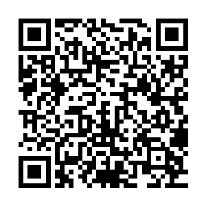 但容觐垂在身侧被衣袖遮挡住的右手在这一过程中一直紧握着二维码生成