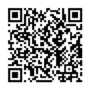 但对自己仍摆架子的大哥全然没有表现出任何怒火二维码生成