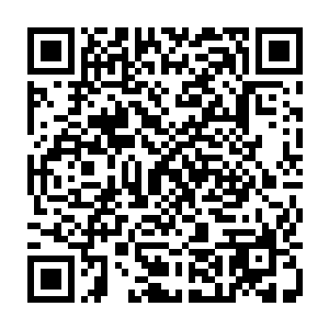 但对自己视若父亲的人的亲人动手……这样的事就算是他们也会十分痛苦二维码生成