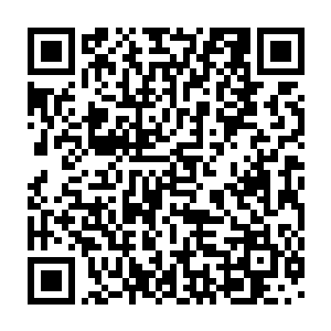 但少女仅靠仅有一点微薄凤凰血脉谨慎计算以及未雨绸缪的休息准备二维码生成