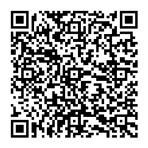 但就在这瞬间 自身血脉忽然传來一阵吼声 好似奇妙的韵律 瞬间将他烦躁的内心化作一片安定二维码生成