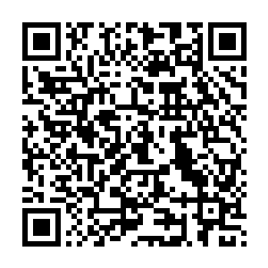 但尽管在细柳街的这段时间里姑爷对于身边的事情都表现得得心应手二维码生成