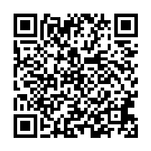 但岁月似乎并无在她那张精致绝伦的脸上留下任何的痕迹二维码生成