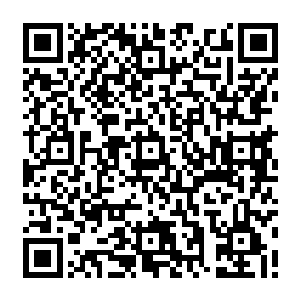 但已经找回今世记忆的凌雪鹫对于李梦婕这个从小一块长大的闰密却依然没什么改变二维码生成