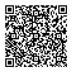 但已经设立在吉隆坡的本次选美执行机构的工作人员按照网站当初设置的架构进行了详细的分类二维码生成