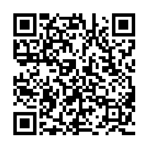 但布拉德身上那种野性而不羁的气质确实为角色加分不少二维码生成