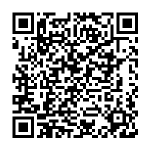 但并不代表他会想自己重伤的老婆在伤还没好的时候还要照顾一只猫二维码生成