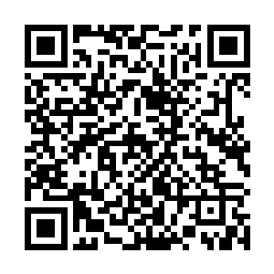 但并不代表我就一定要听你的命令……我不是你的下属二维码生成
