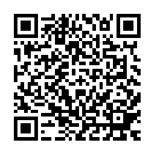 但并不代表所有的传奇亡灵必须用传奇以上的强者尸骨来制造二维码生成