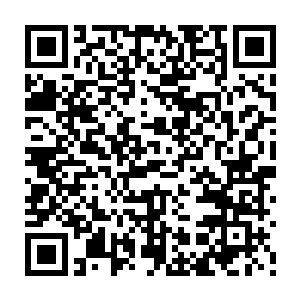 但并没有和苏谨琴分到一起去――她本意是想看看苏谨琴准备炼制什么丹药二维码生成