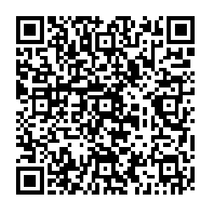 但庙门里的僧人可不敢真的让殷家子女跪在佛祖面前通宵达旦不眠不休的诵经祈祷二维码生成