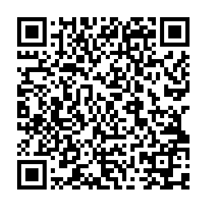 但当夏云杰手臂像竹竿一样拦住顾倩琳那让无数江州大学师生疯狂的性感娇躯时二维码生成