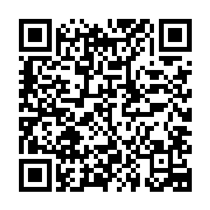 但当孙女使用了点小手段取了那男人血管里的一杯鲜血给他喝时二维码生成